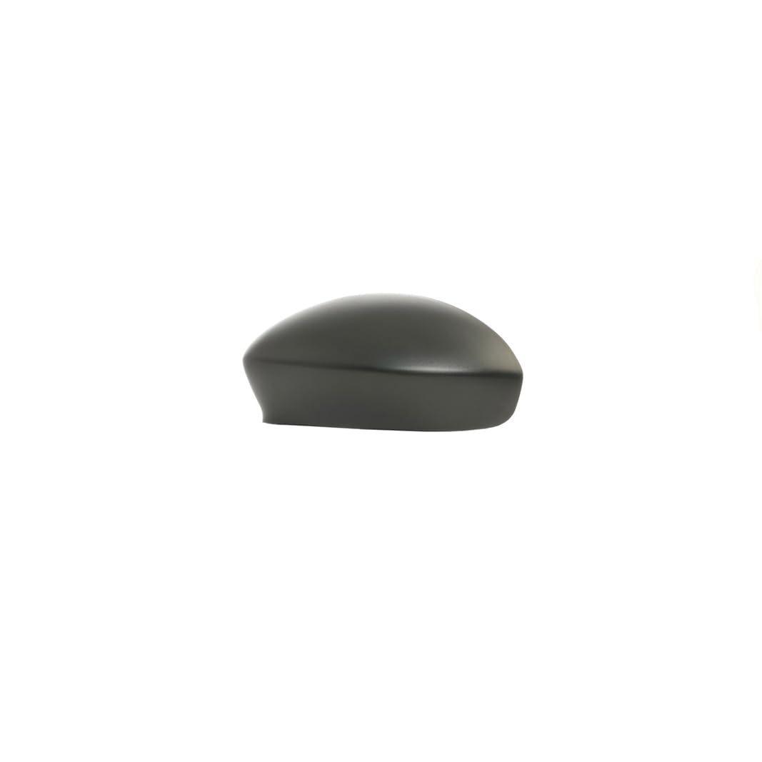 CG94-RICAM88780