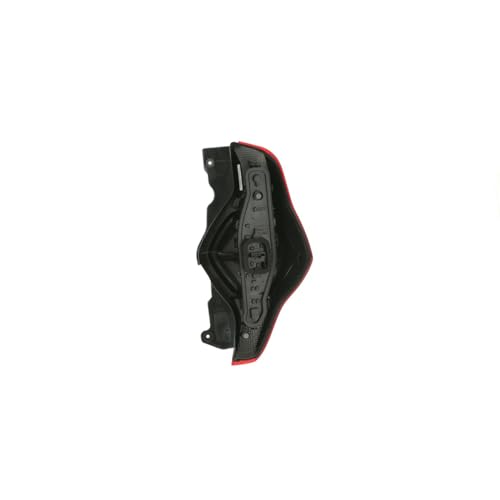 CG94 - Gruppo Ottico Posteriore D. LODGY 2012