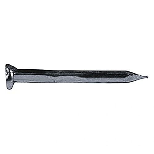CHIODI TESTA PIANA LARGA TPL mm 1.6x16 - gr. 50 - DP.010357 - In blister. Confezione da 1 Blister