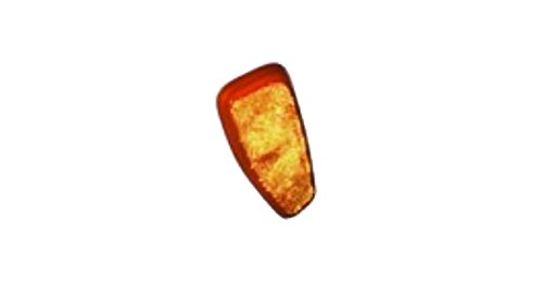 FBA!TSRICAM49100