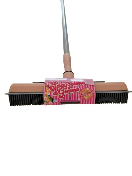 Scopa in Silicone Gomma Tira Acqua con Manico allungabile per peli di Animali tappeti Pavimenti Moquette Piastrelle finestre