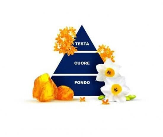 Paglieri Felce Azzurra Bagnodoccia Narciso, 650 ml