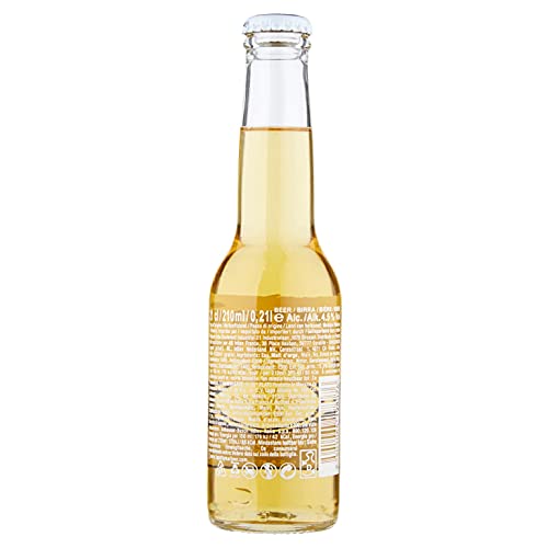 Corona Birra Bottiglia