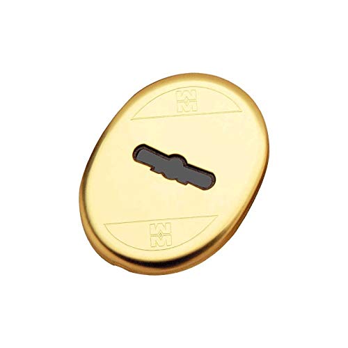 MOTTURA ARMADIO INTERNO INGRESSO 52x70 mm ORO FINITURA OTTONATA