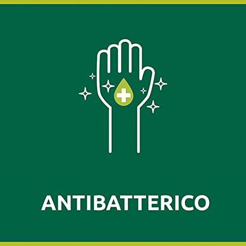 Palmolive Sapone Liquido Mani Hygiene Plus Family con Antibatterico Naturale e Ingredienti Idratanti, agli Estratti di Propoli, 12 x 300 ml