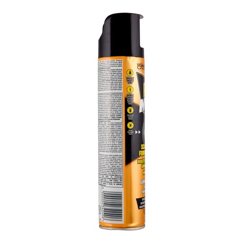 Raid scarafaggi e formiche spray