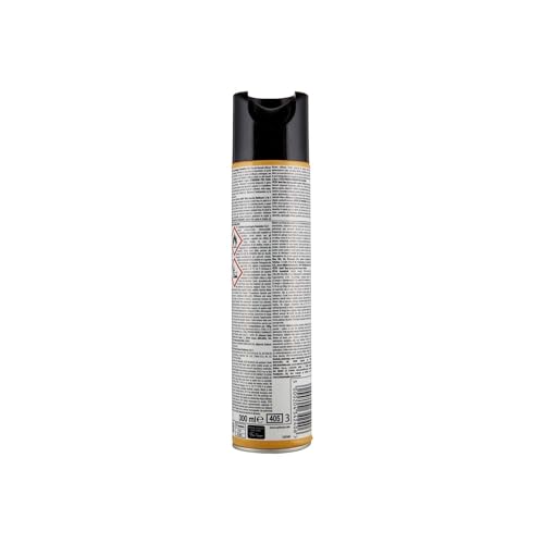 Raid scarafaggi e formiche spray