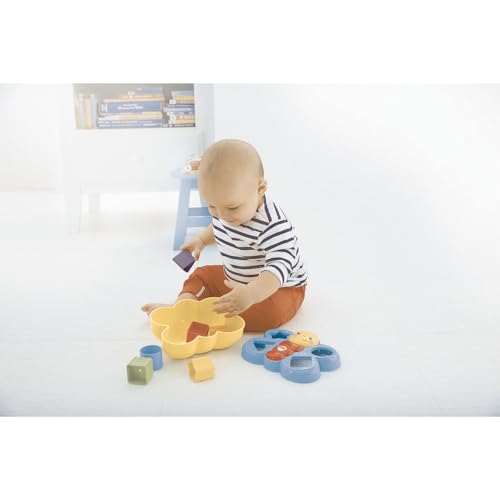 Fisher-Price Farfalla Cercaforme, Giocattolo per Bambini 6+ Mesi, BLT38