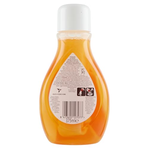 Airwick Deo Filtro Attivo - Antitabacco, 12 unità da 375 ml, 5 Lavanda in Fiore, 4 Brezza di Montagna, 3 Agrumi