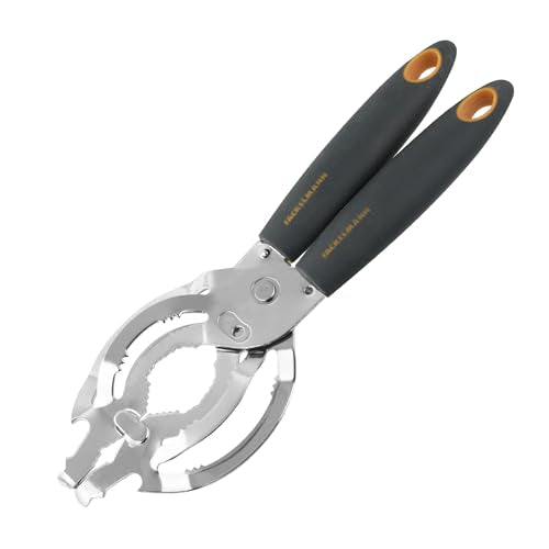 Fackelmann Scavino per Frutta in Acciaio Inox, Grigio, 18,5 x 18,5 x 3 cm