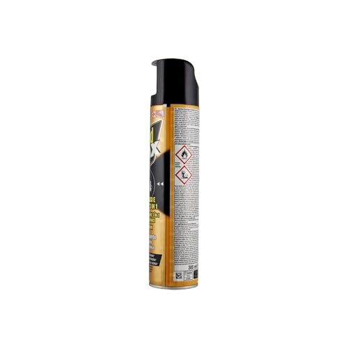 Raid scarafaggi e formiche spray