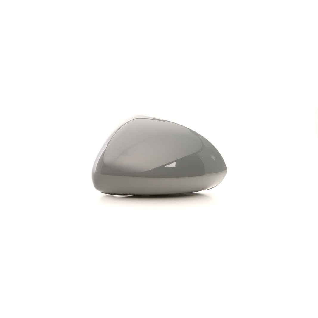CG94-RICAM91810