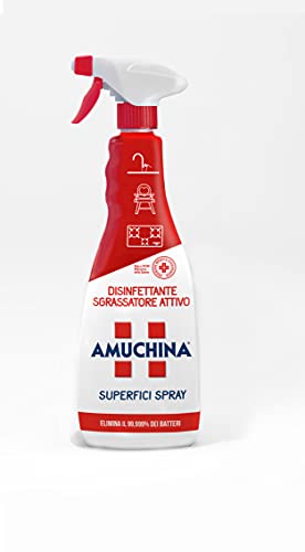 Amuchina Detergente Casa