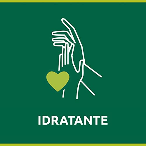 Palmolive Sapone Liquido Mani Hygiene Plus Family con Antibatterico Naturale e Ingredienti Idratanti, agli Estratti di Propoli, 12 x 300 ml