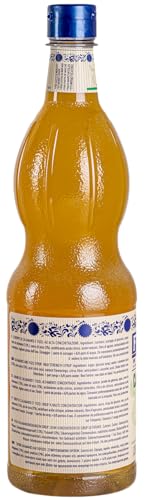 Fabbri Sciroppo Mixybar Plus Calamansi & Yuzu