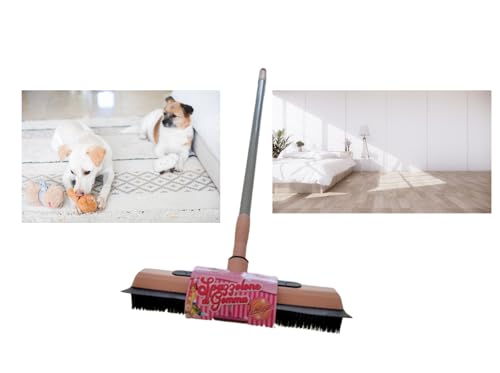 Scopa in Silicone Gomma Tira Acqua con Manico allungabile per peli di Animali tappeti Pavimenti Moquette Piastrelle finestre