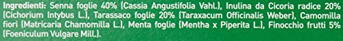 Sognid'Oro Tisana con Inulina Regolarità, 20 Filtri