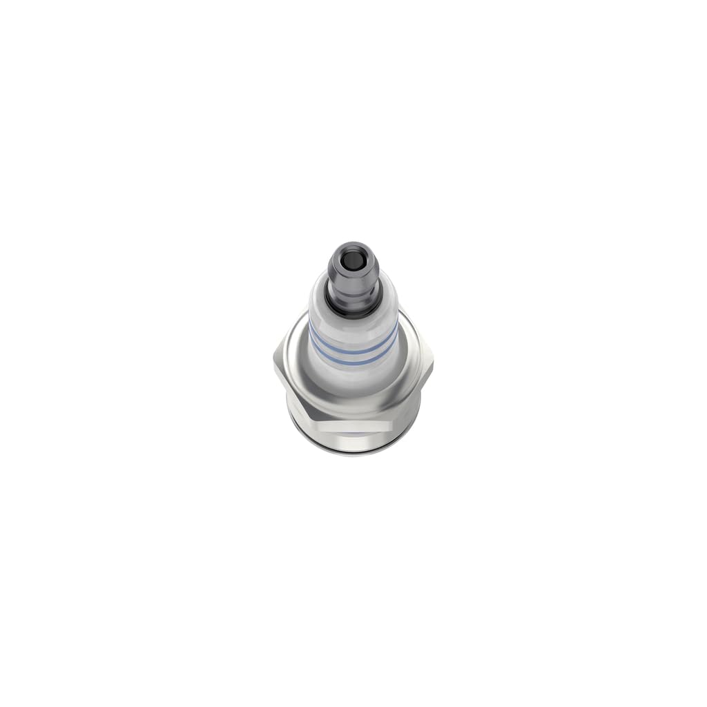 Bosch WS7F 608 Candele per utensili da giardinaggio e silvicoltura, 1 candela