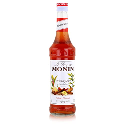 Monin Sirup Winter Spice I edizione di vino, con cannella e chiodi di garofano, 0,7 l
