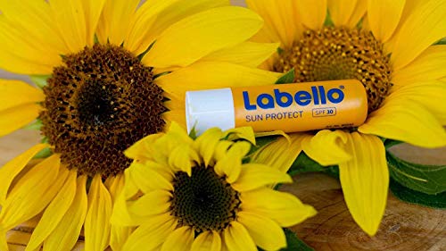 Labello Bipack Sun Protect SPF30 e Hydro Care SPF15 2 x 4.8 g, Burrocacao labbra in confezione doppia, Duo con burrocacao protezione solare idratante e balsamo labbra con filtri UVA/UVB