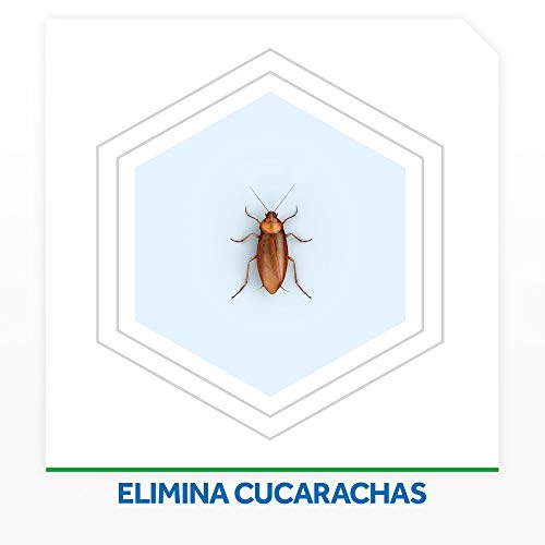 Raid Esca
