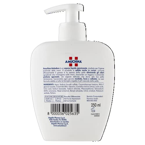 Amuchina Sapone Liquido Antiodore, 250ml