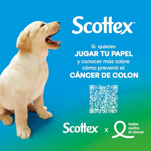 Scottex Original Toilet Paper - 40 Rolls
