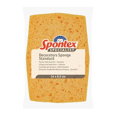 Spontex, spugna