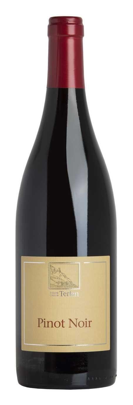 Südtirol - Alto Adige DOC Pinot Noir Terlano 2021 0,75 ℓ