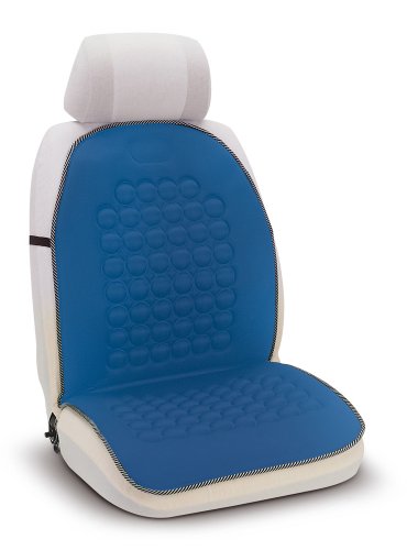 Bottari Schienale per Auto