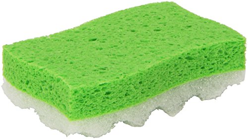 Spugna Aqua Massage Tonica