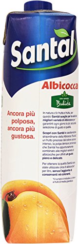 Santal - Succo Albicocca con Varieta' Bulida - 12 pezzi da 1 l [12 l]