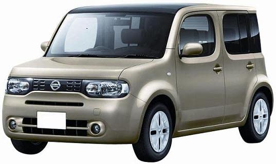 CG94 CALOTTA DA VERNICIARE [Lato Passegero] Per Auto: CUBE