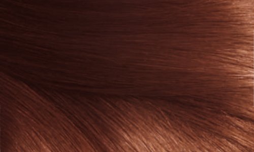 EXCELLENCE Crema Colorante Castano Mogano Ramato4.54 40 Ml