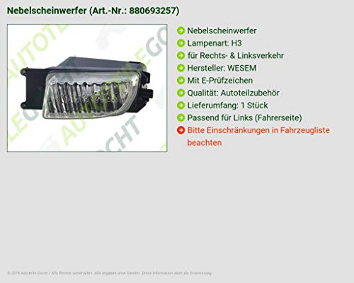 Fari fendinebbia di auto GOCHT