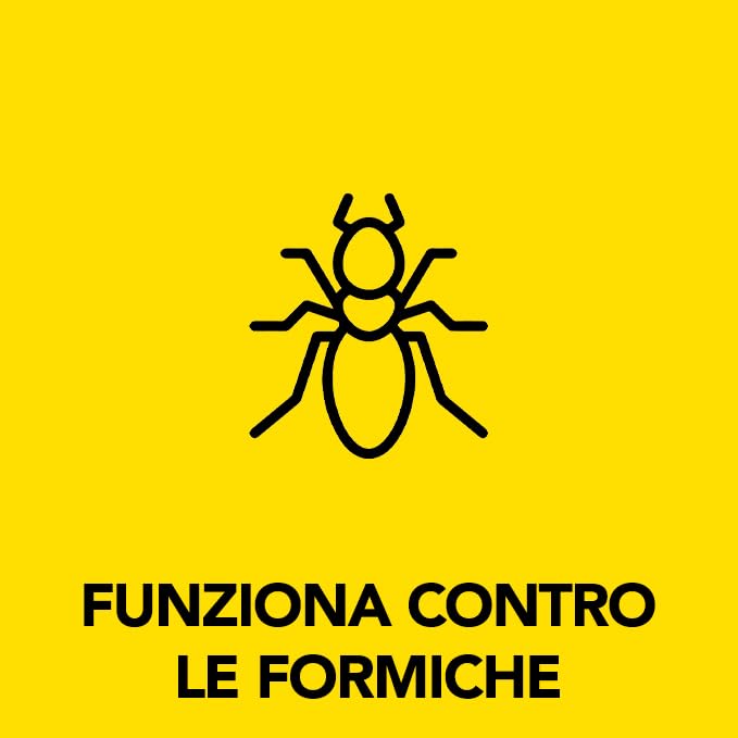 Raid Esca Formiche Insetticida, Pronta all'Uso in Spazi Interni ed Esterni