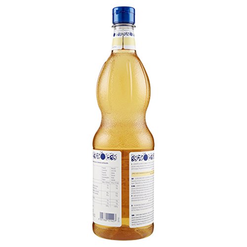 Fabbri Sciroppo Mixybar Fiori di Sambuco 1L