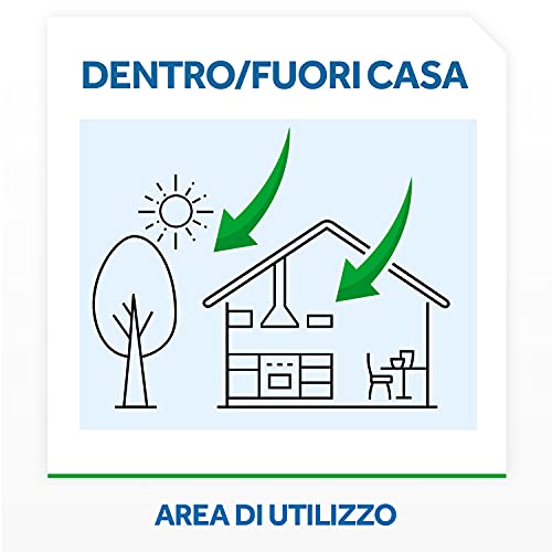 Raid Esca Formiche Insetticida, Pronta all'Uso in Spazi Interni ed Esterni