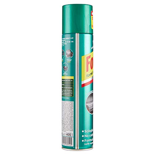 Fornet Spray Forni e Barbecue