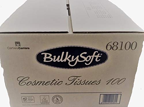 Fazzoletti carta bianco – cartone di 40 scatole di 100 fazzoletti – po