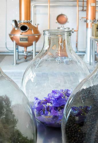 GIN PETER IN FLORENCE CL.50