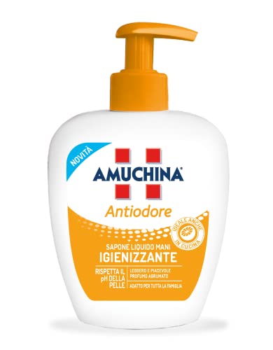 Amuchina Sapone Liquido Antiodore, 250ml