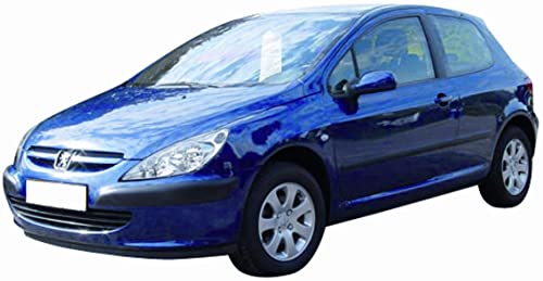 CG94 PIASTRA SPECCHIO- VETRO ASF. - Posizione Sinistra [Lato Guida] Per Auto: 307