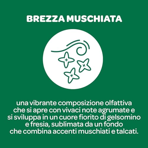 Borotalco, Deodorante Spray Puro Brezza Muschiata, con Talco con Molecole Traspiranti, Senza Alcool e Sali di Alluminio, Asciutto Anti-Odori, 48h di Efficacia, Profumo Muschiato - 1 Flacone da 150 ml