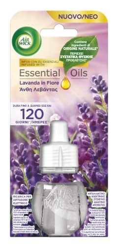 Airwick Ricariche per Diffusore Elettrico di Oli Essenziali, Confezione da 6 ricariche di Profumatore per Ambienti alla Fragranza di Lavanda, Profumatore per Ambienti Elettrico