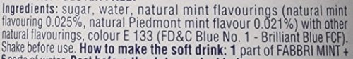 Fabbri Sciroppo Menta 1l parent