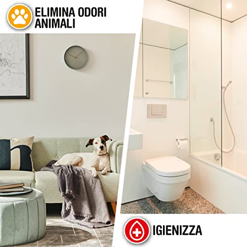 COCCOLATEVI AREA_DEODORIZER