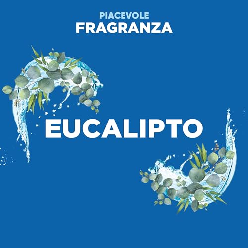 Duck Fresh Discs - 2 Ricariche da 6 Dischi Gel Igienizzanti WC, Fragranza Eucalipto con agenti candeggianti, Confezione da 2 Applicatori e 12 dischetti