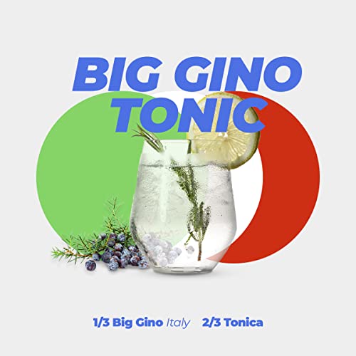 Big Gino - Gin Da 1l Limited Edition Europei 2021- Gin Dolce Profumato Con Note Di Ginepro, Pomelo E Bacche Di Pimento. Ottimo Gin Per Cocktail Esotici, Pestati E Ricchi Di Frutta.