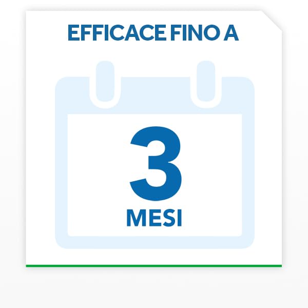 Raid Esca Scarafaggi Insetticida Inodore, Efficace fino a 3 Mesi, Area di Utilizzo Interno/Esterno